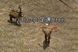 SS895.jpg