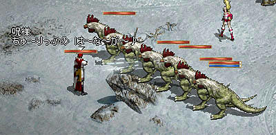 SS919.jpg