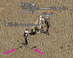 SS953.jpg