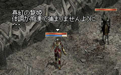 SS976.jpg