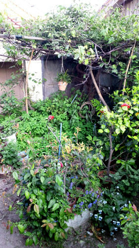 2010r_006.jpg