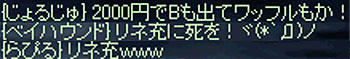2010r_088.jpg