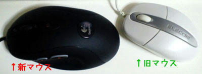 2010r_110.jpg