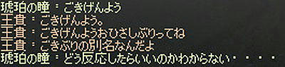 2010r_111.jpg
