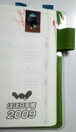 2010r_249.jpg