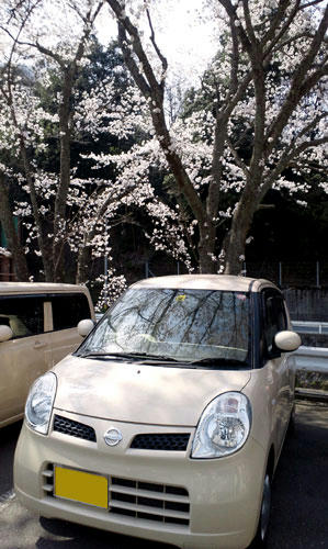 2011_0124.jpg