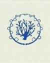 422d097ajpeg