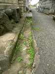 touinsuiro2.gif