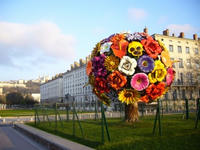 2008040702_lyon.jpg