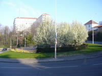 2008041604_lyon.jpg