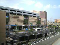 2008052701_lyon.jpg