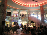 2008052709_lyon.jpg