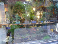 2008060204_lyon.jpg