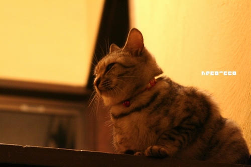 IMG_9264.JPG