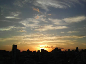 P1020605.JPG