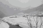 naktuka-yuki.jpg