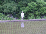 DSCN2587.jpg