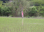 DSCN2588.jpg