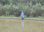 DSCN2591.jpg