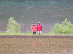DSCN2595.jpg