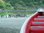RIMG0044-1.jpg