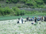 RIMG0056-1.jpg