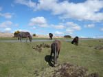 P1050022.JPG