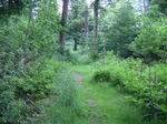 PICT0025.JPG