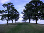 PICT0126.JPG