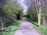 PICT0031.JPG