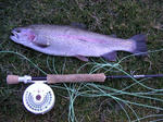 PICT0007.JPG