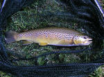 PICT0023.JPG