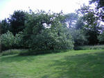 PICT0037.JPG