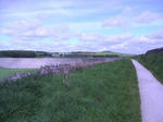 PICT0044.JPG