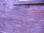 PICT0130.JPG