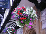 PICT0054.JPG