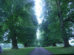 PICT0109.JPG