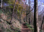 PICT0086.JPG