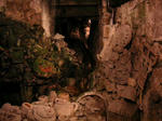 PICT0192.JPG
