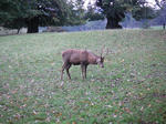 PICT0052.JPG