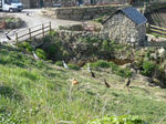 P1080780.JPG