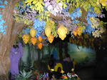 P1100245.JPG