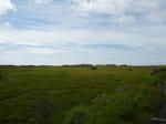 P1100813.JPG