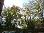 P1110374.JPG