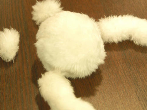 クマ身体