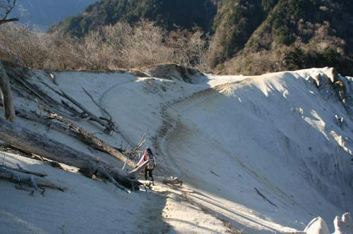 日向山山頂近くの尾根