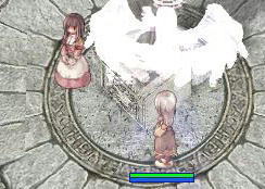 フィゲルの薬