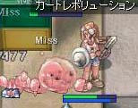 491