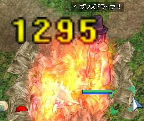 504