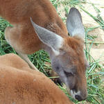 0524-1.jpg